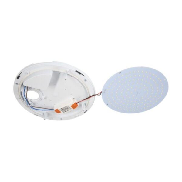 Tsong- White Round Tri-Proof - 图片 3